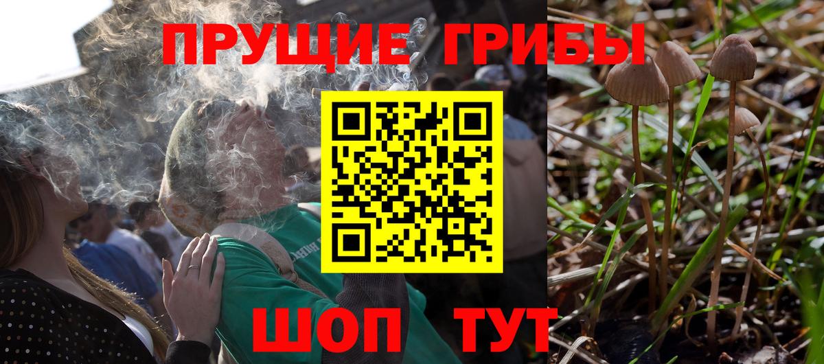 Галлюциногенные грибы Magic Shrooms  Галлюциногенные грибы Psilocybe  Вход с VPN  Нальчик 