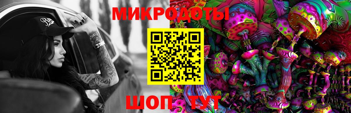 Галлюциногенные грибы Psilocybine cubensis Нальчик